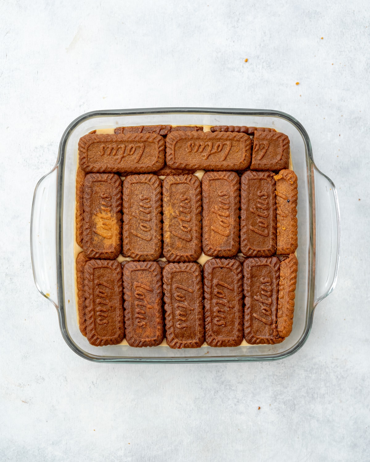 layer of espresso soaked biscoff cookies in a baking dish.
