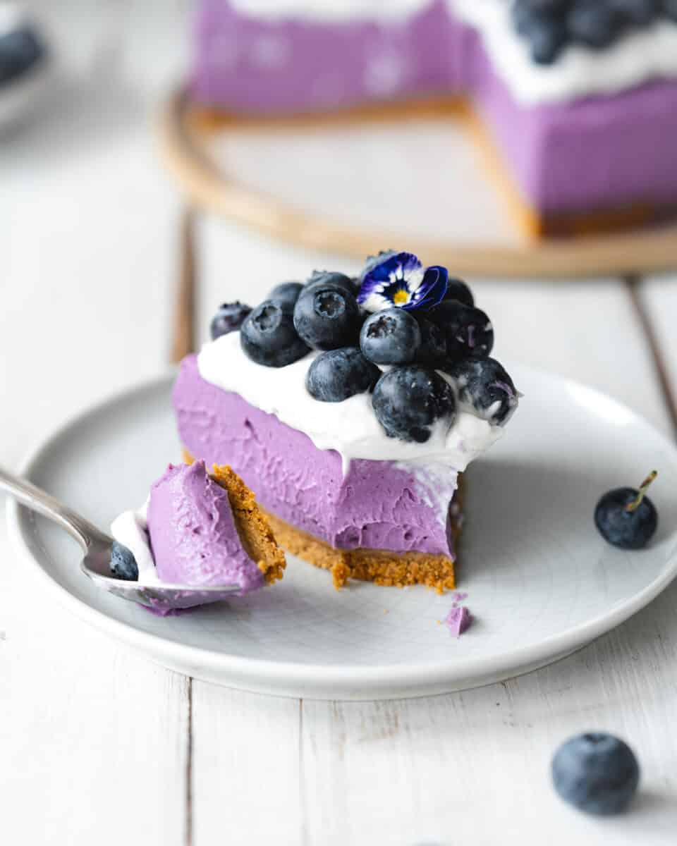 slice of blueberry cheesecake on a plate with a spoonful of cheesecake next to it, and blueberries on top.