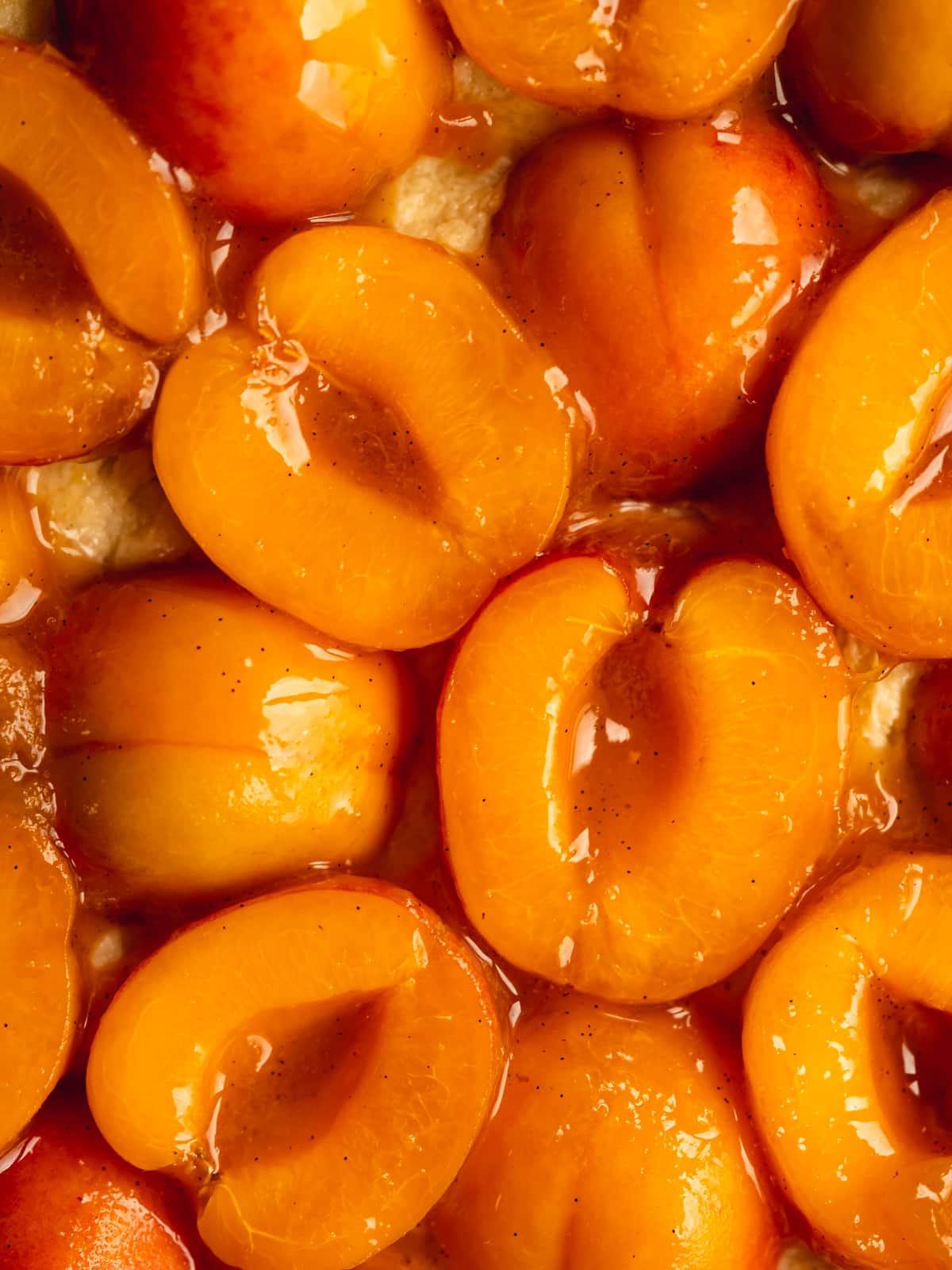 Closeup shot of the top of the apricot almond tart showing gorgeous shiny look of the vanilla and apricot jam-glazed pieces of fruit.
