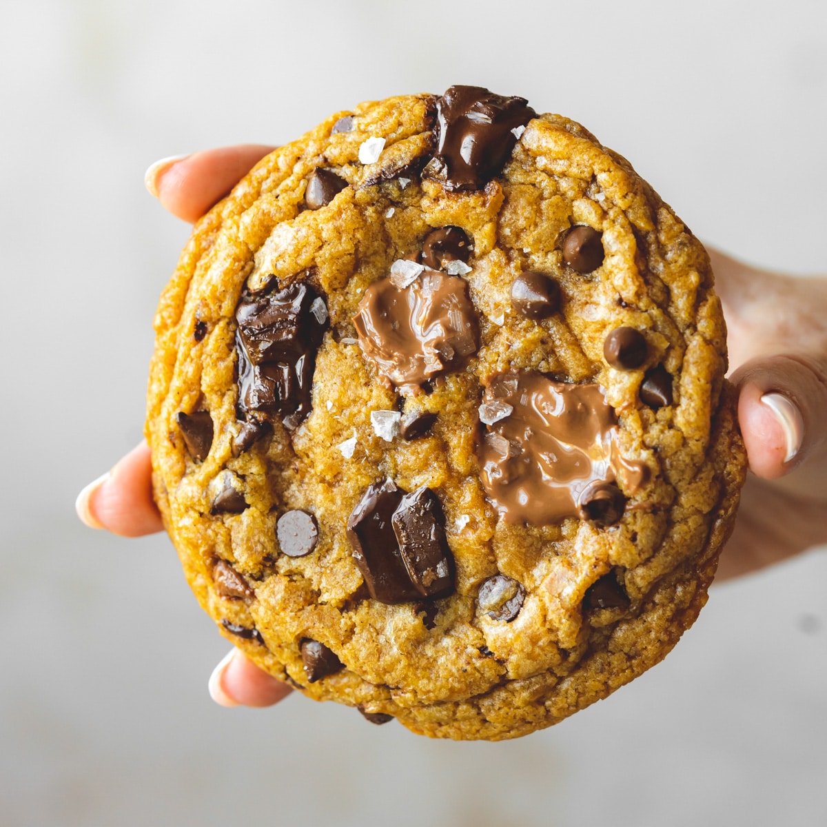 Vegan Pumpkin Chocolate Chip Cookies