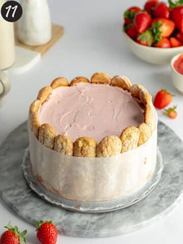 a strawberry charlotte cake with parchment around the edges after setting in the fridge.