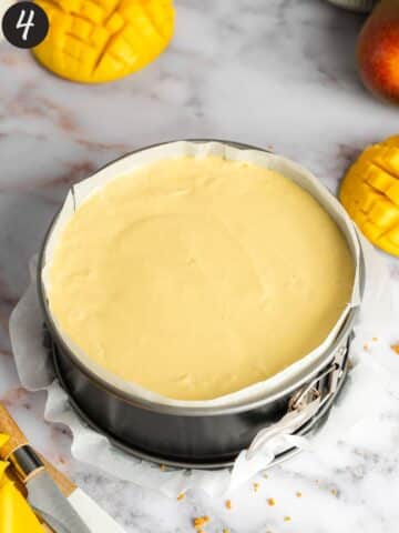 a cake pan filled with mango cheesecake before going into the fridge to chill and set.