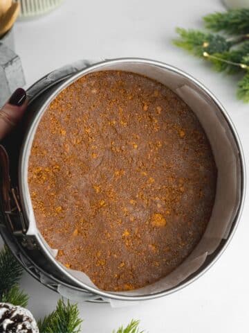 gingerbread cookie crust compacted into the base of a cheesecake pan.