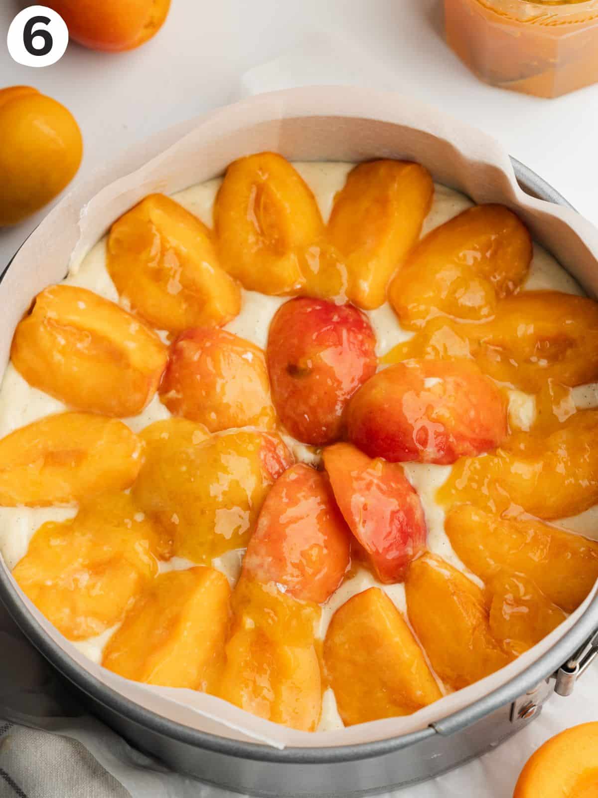 cake topped with quartered apricots before baking.